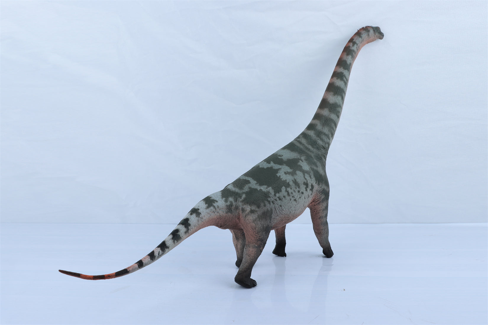 HAOLONGGOOD 1:35 Scale Brachiosaurus Model