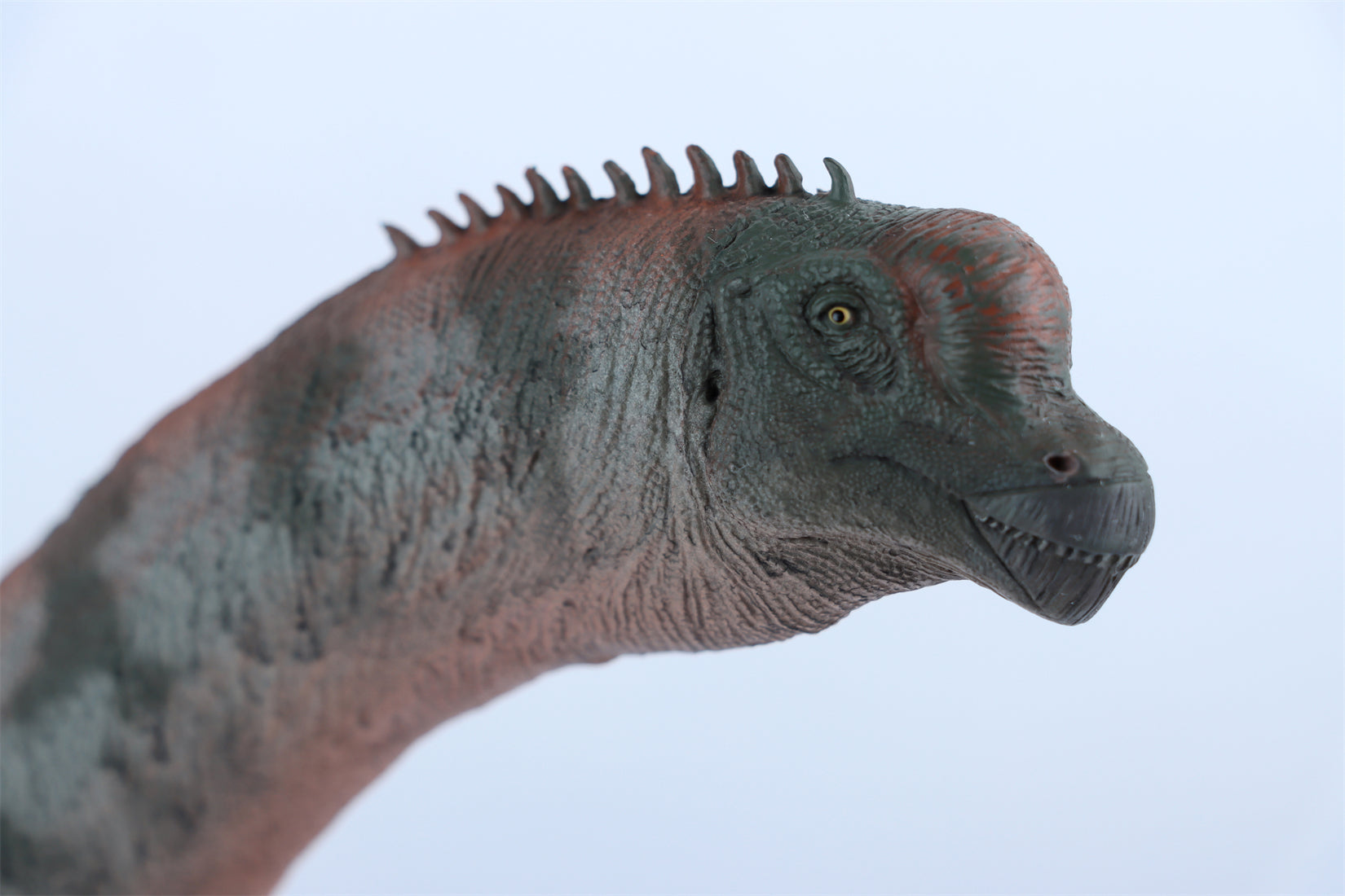 HAOLONGGOOD 1:35 Scale Brachiosaurus Model