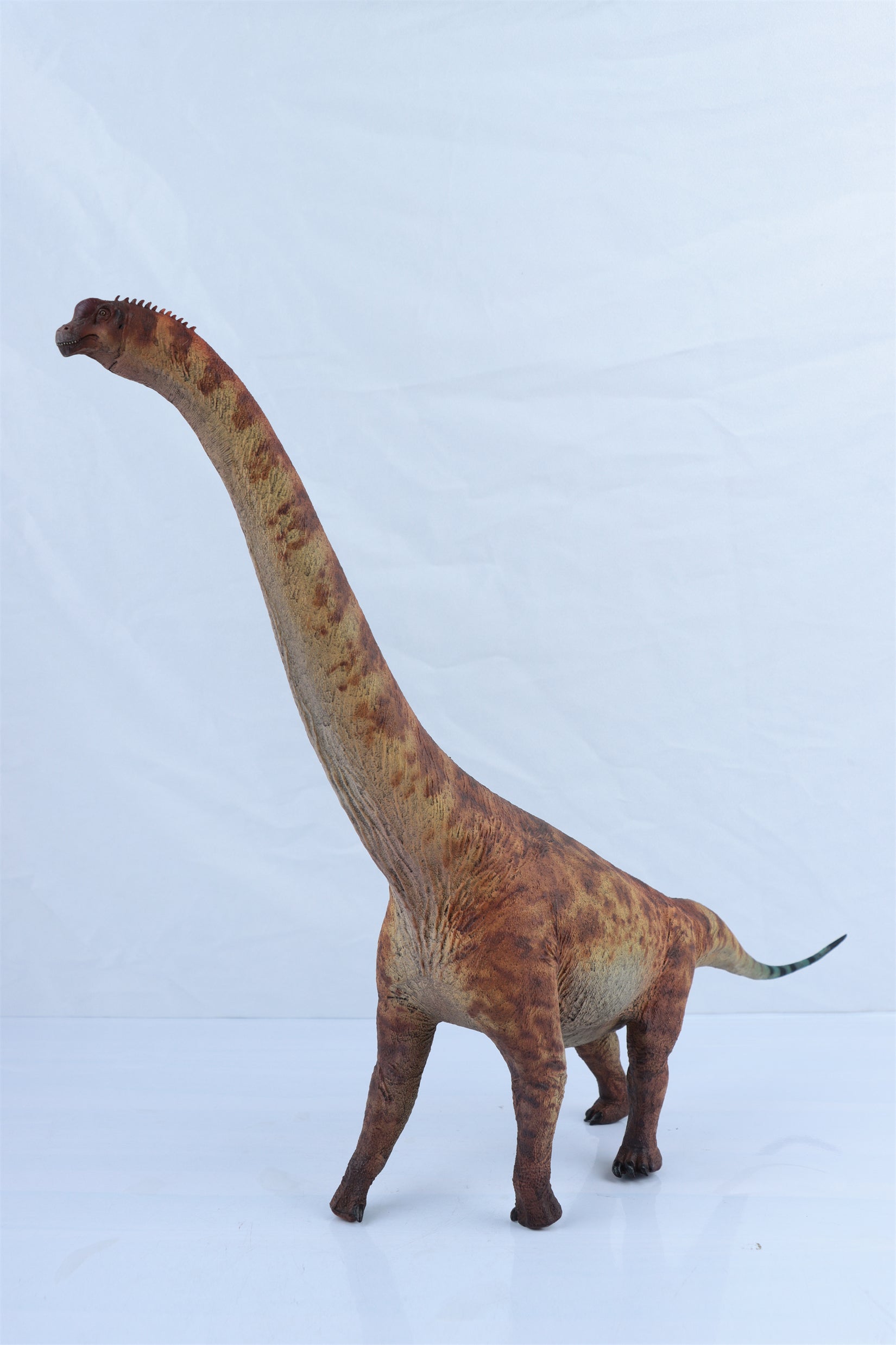 HAOLONGGOOD 1:35 Scale Brachiosaurus Model