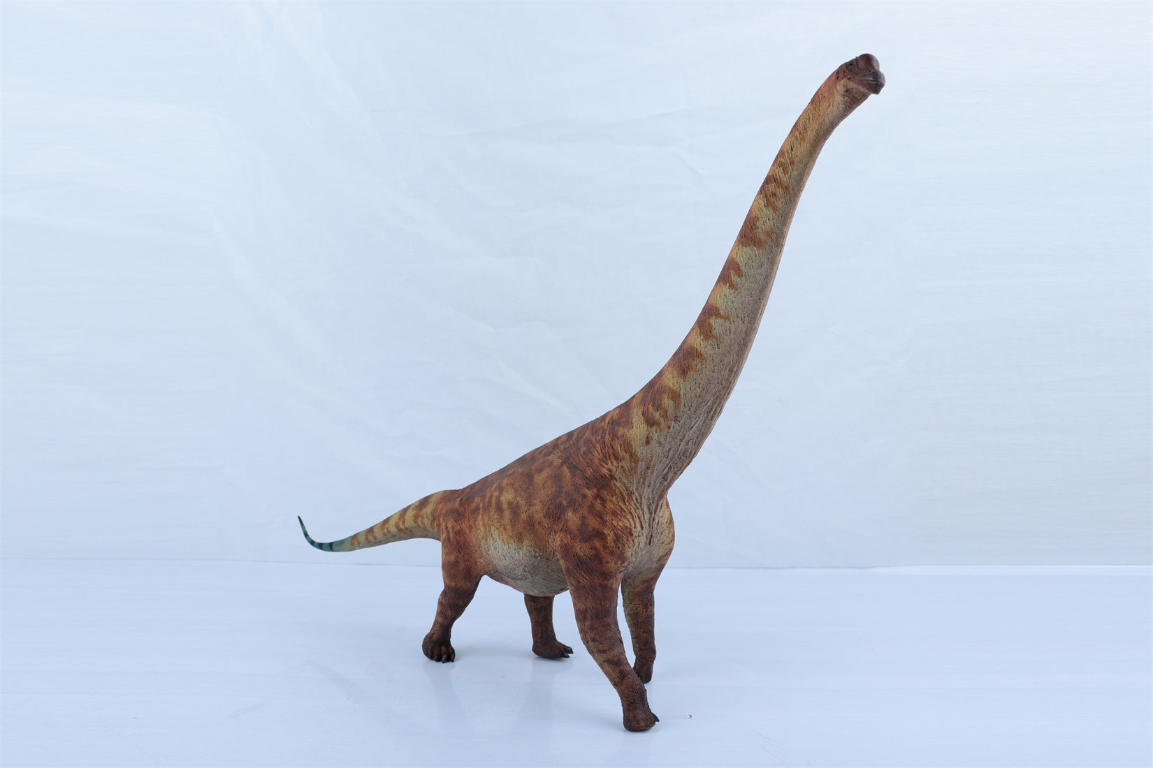 HAOLONGGOOD 1:35 Scale Brachiosaurus Model