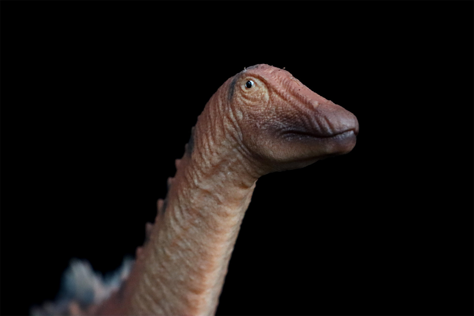 HAOLONGGOOD 1:35 Scale Ampelosaurus Model