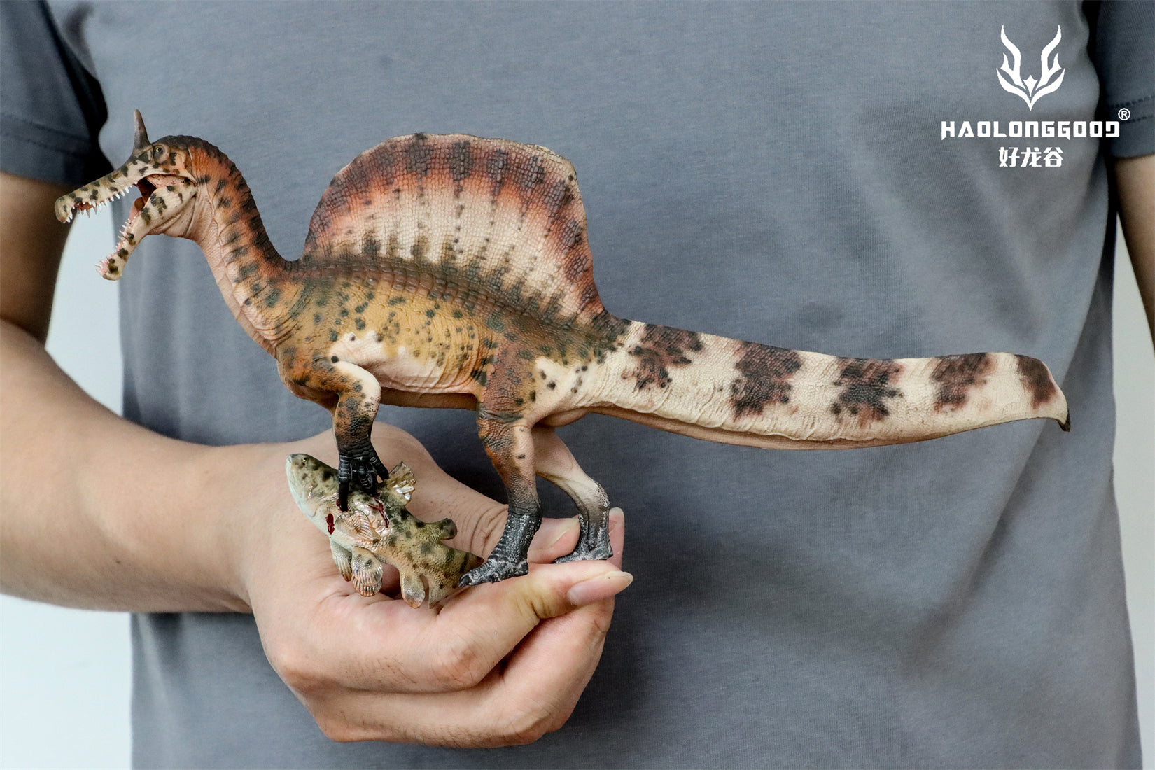 HAOLONGGOOD 1:35 Scale Spinosaurus mirabilis Model