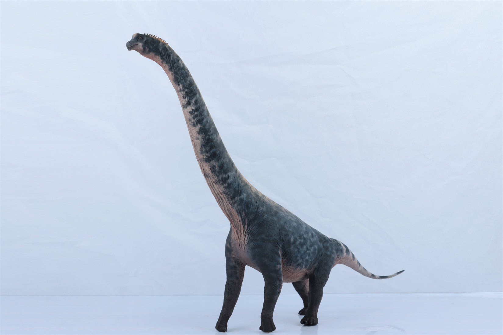 HAOLONGGOOD 1:35 Scale Brachiosaurus Model