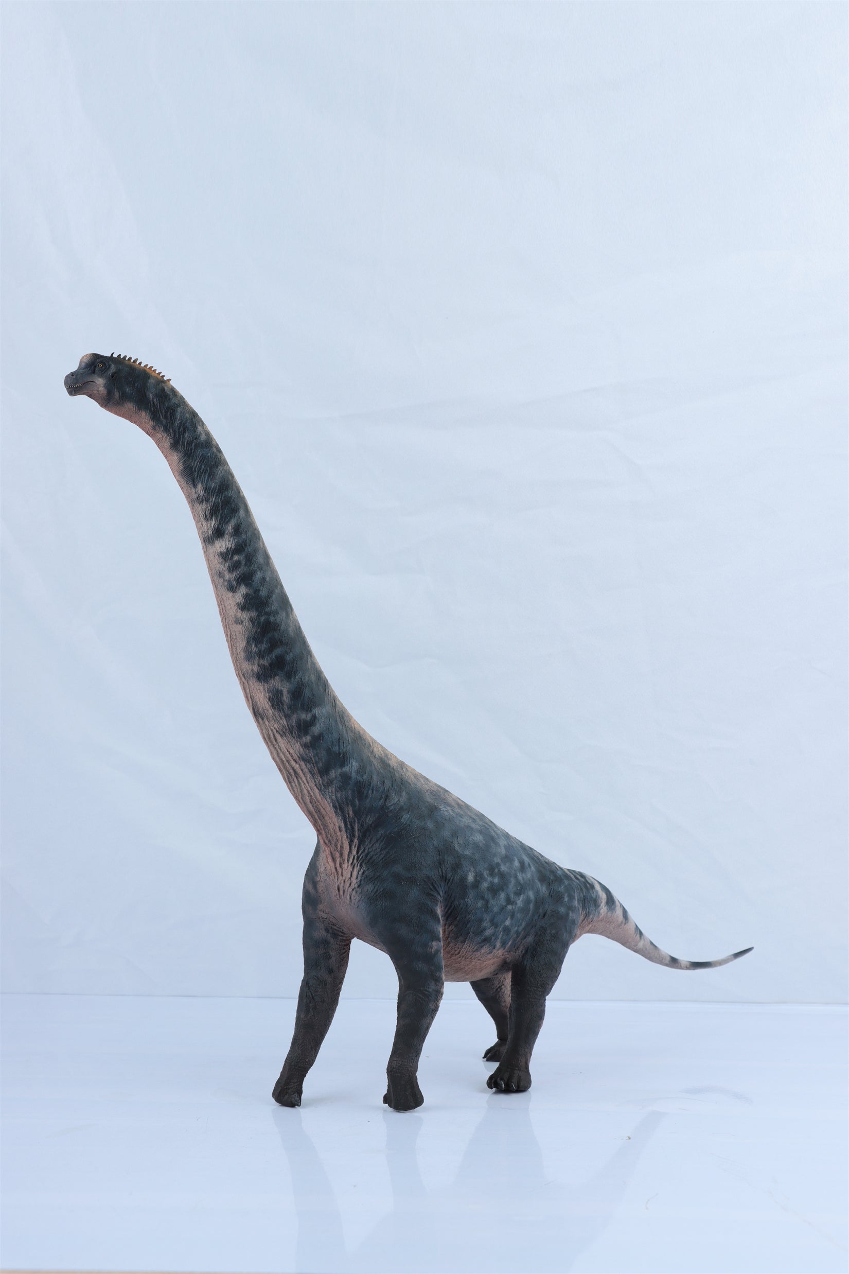 HAOLONGGOOD 1:35 Scale Brachiosaurus Model