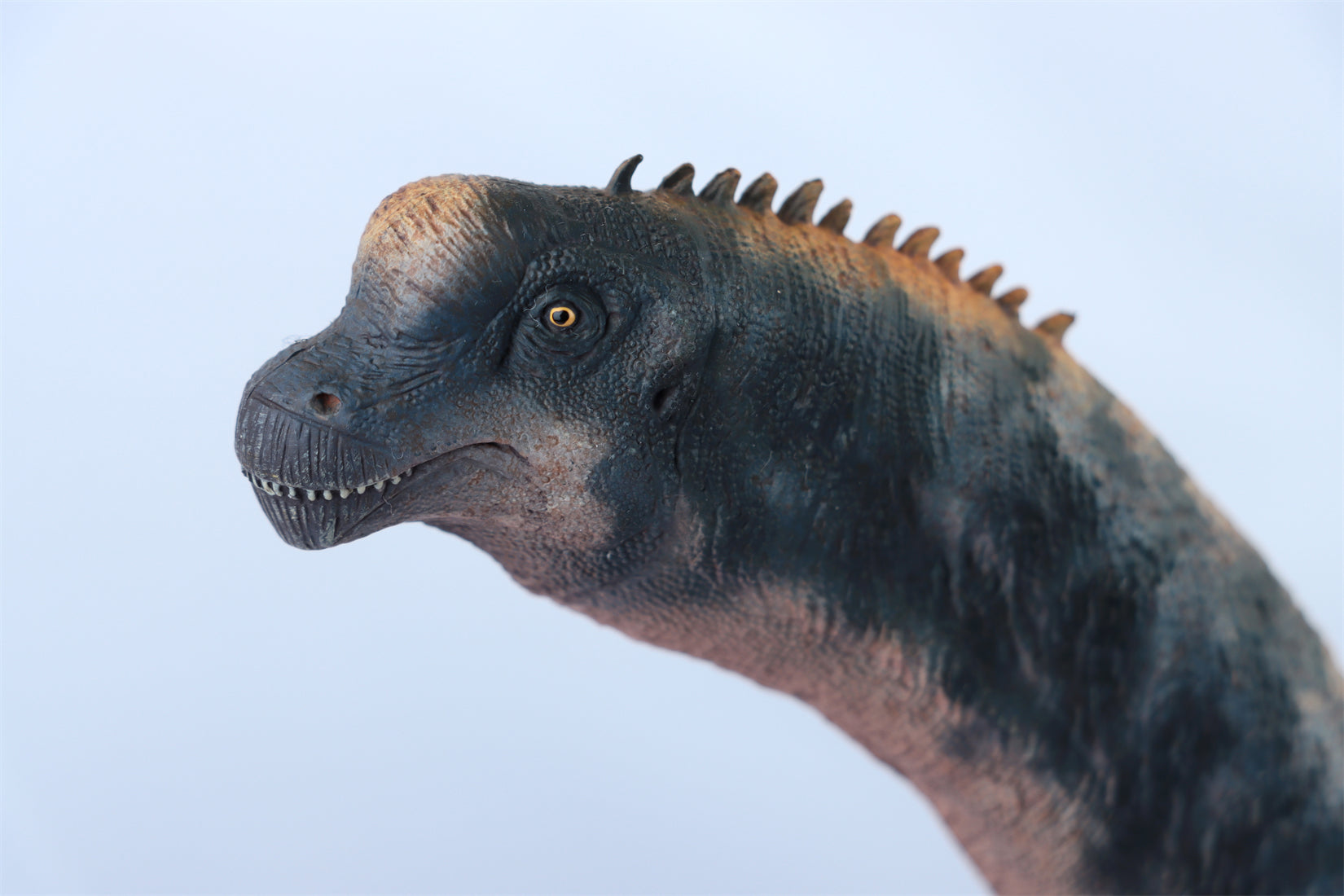 HAOLONGGOOD 1:35 Scale Brachiosaurus Model