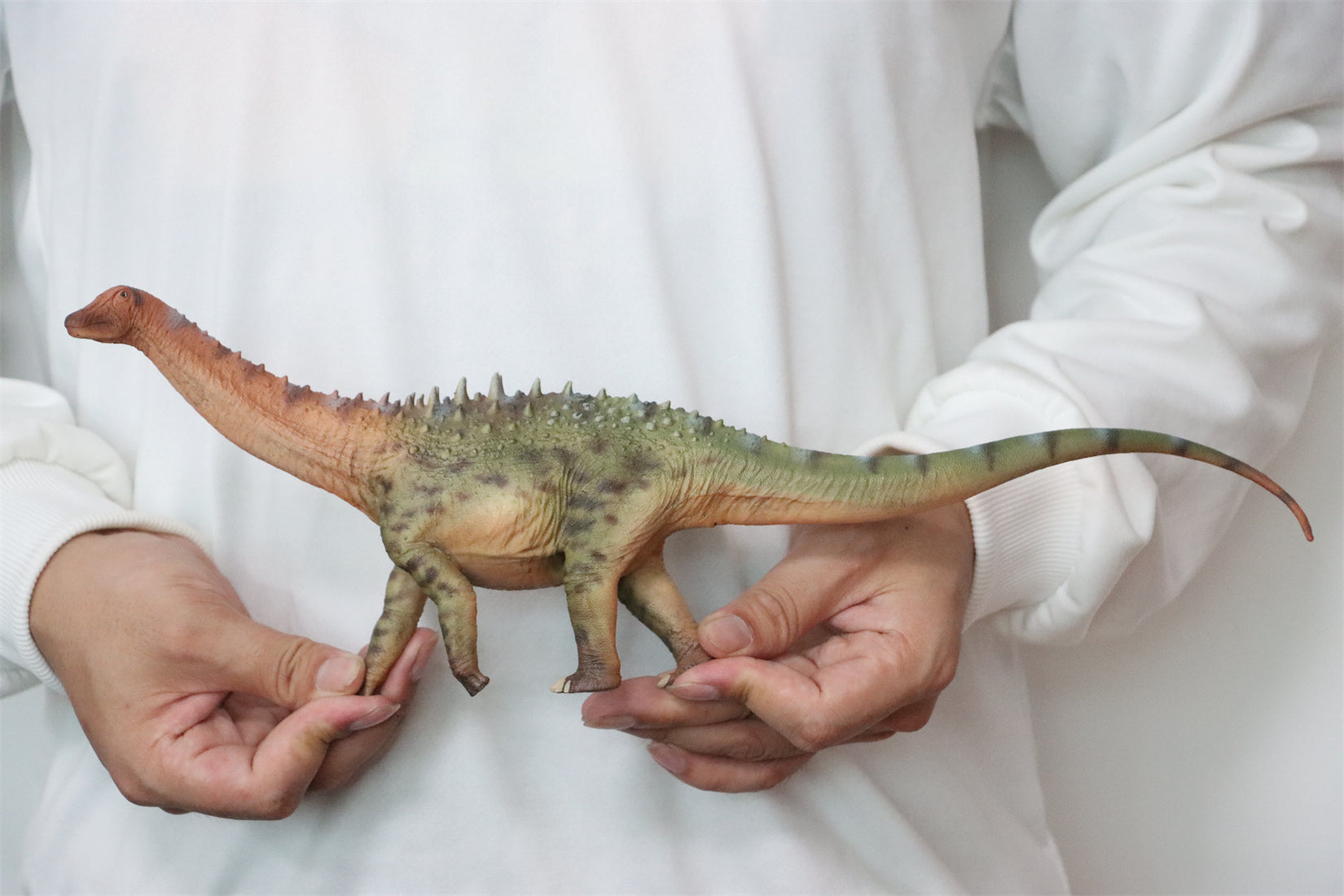 HAOLONGGOOD 1:35 Scale Ampelosaurus Model