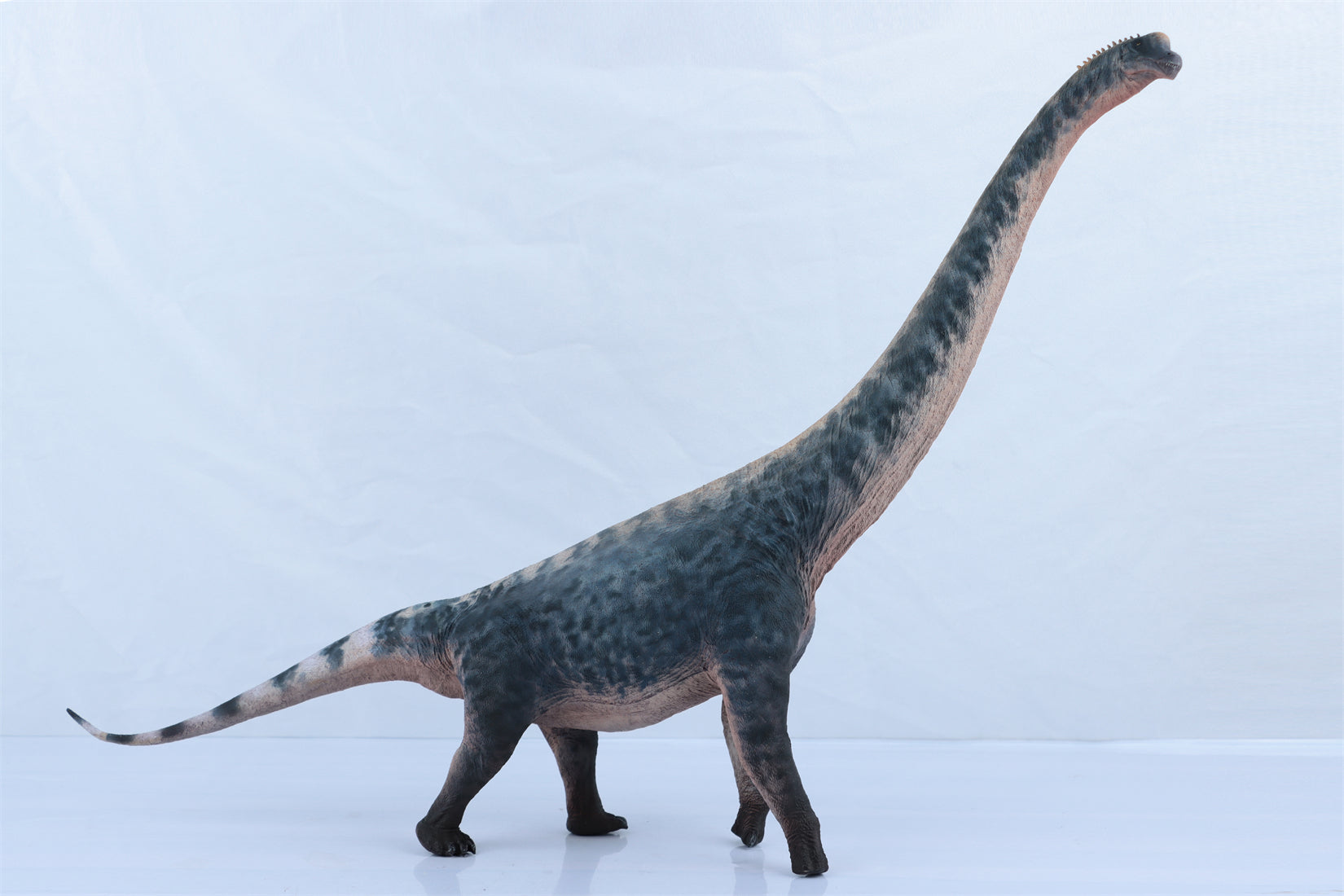 HAOLONGGOOD 1:35 Scale Brachiosaurus Model