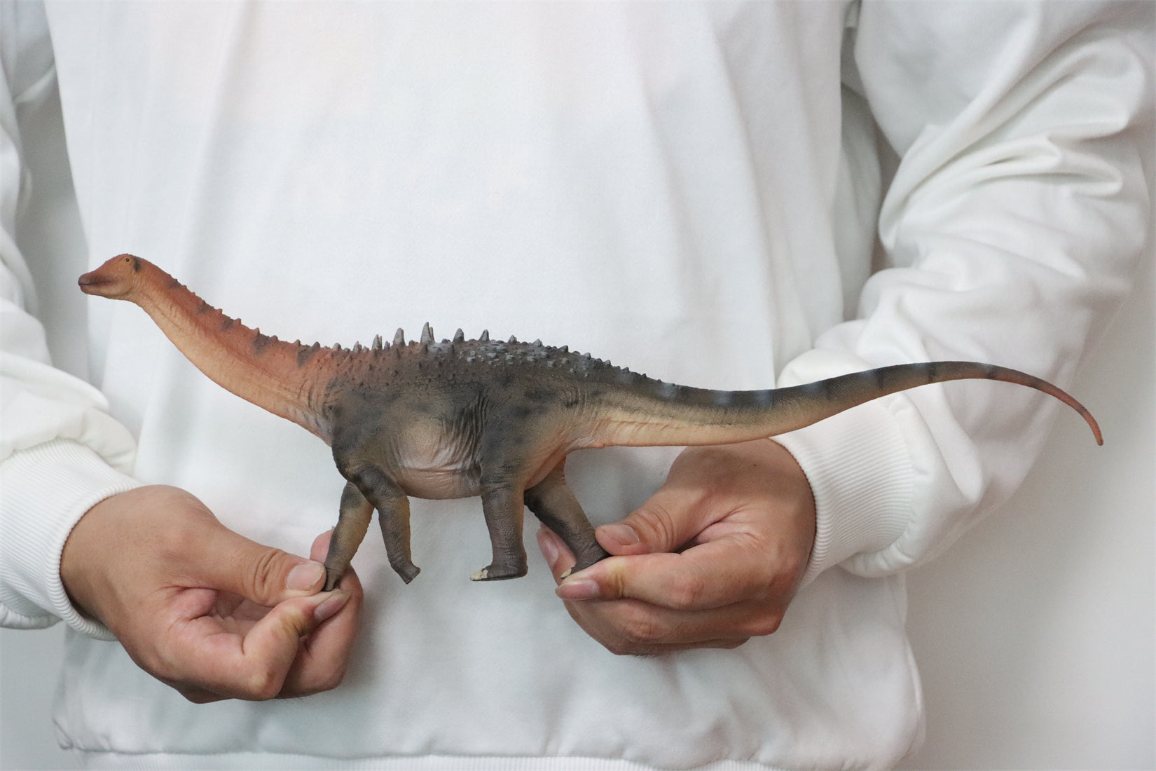 HAOLONGGOOD 1:35 Scale Ampelosaurus Model