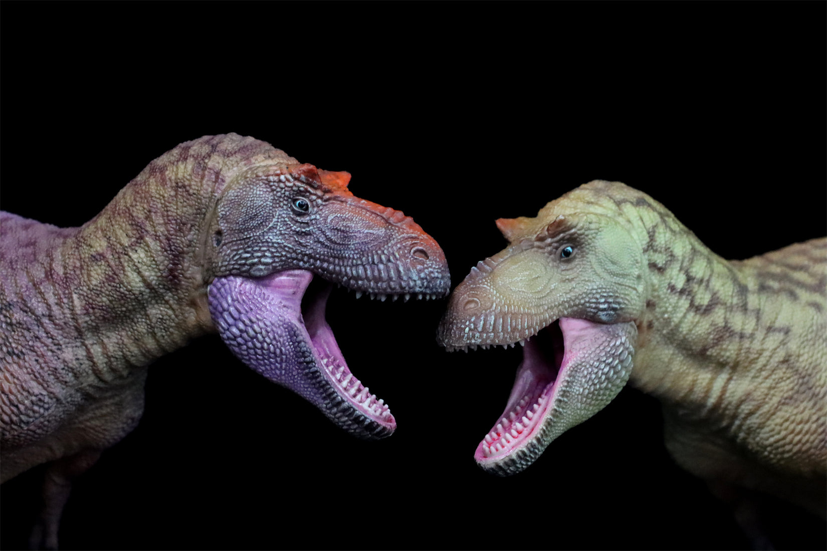 HAOLONGGOOD 1:35 Daspletosaurus Model