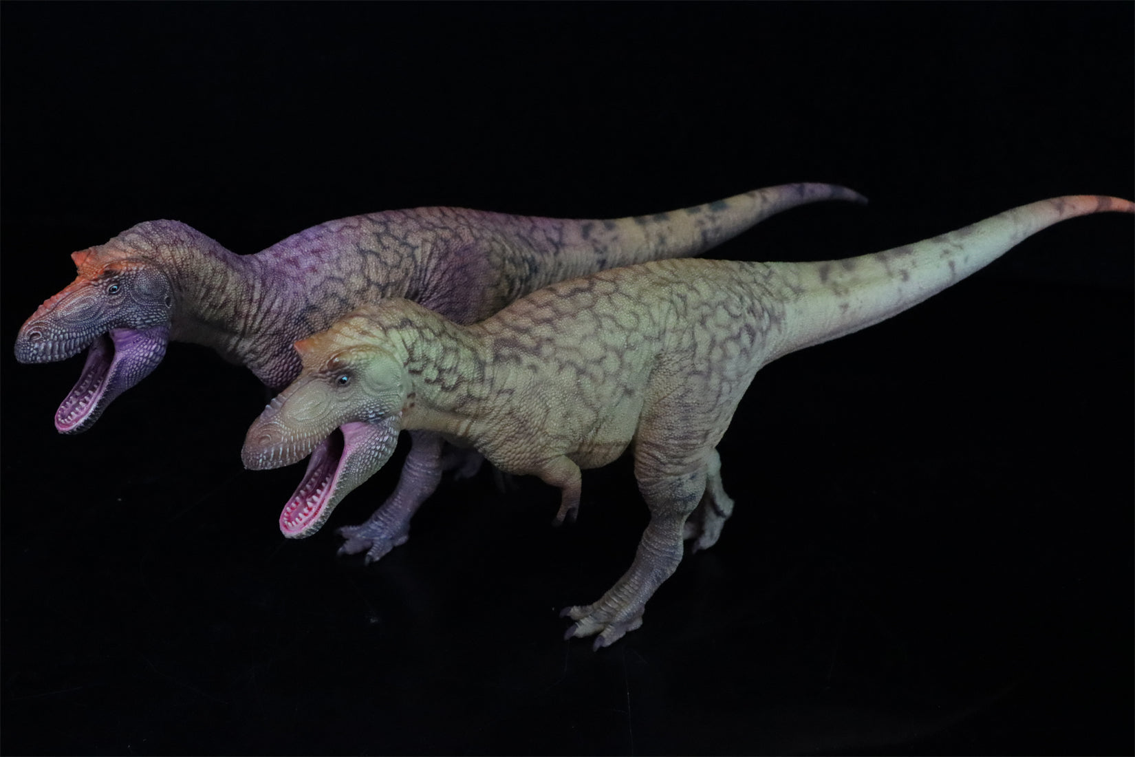HAOLONGGOOD 1:35 Daspletosaurus Model