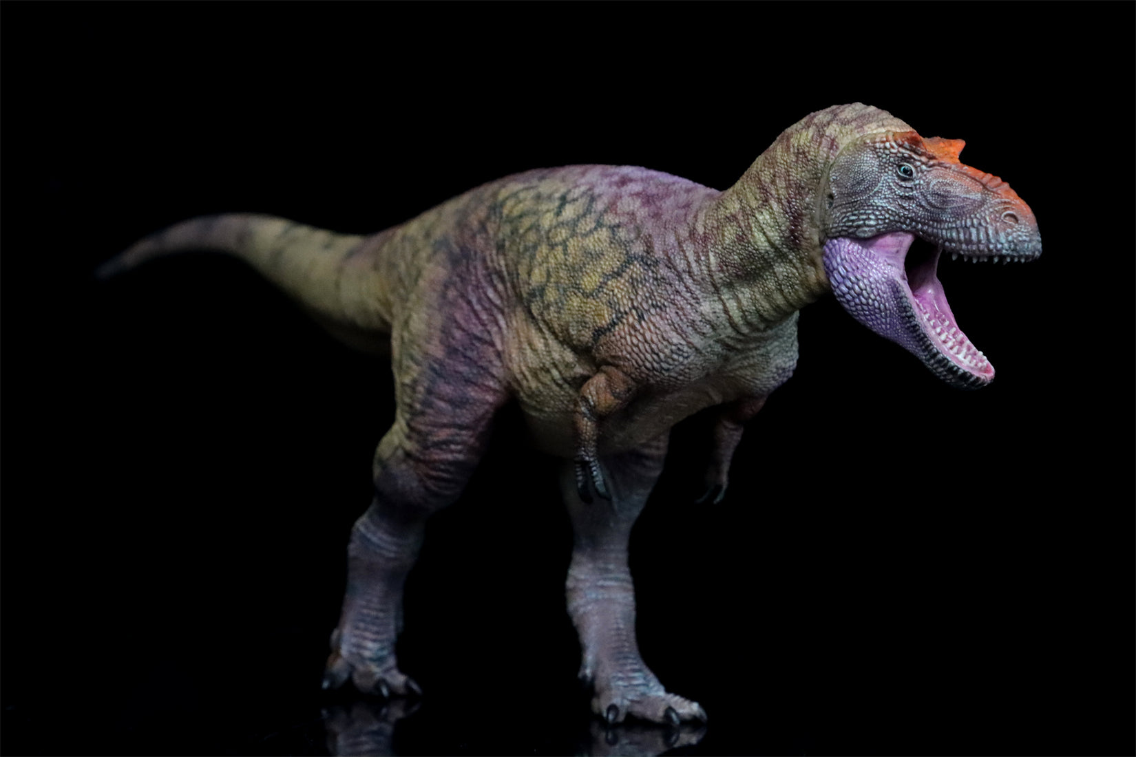HAOLONGGOOD 1:35 Daspletosaurus Model