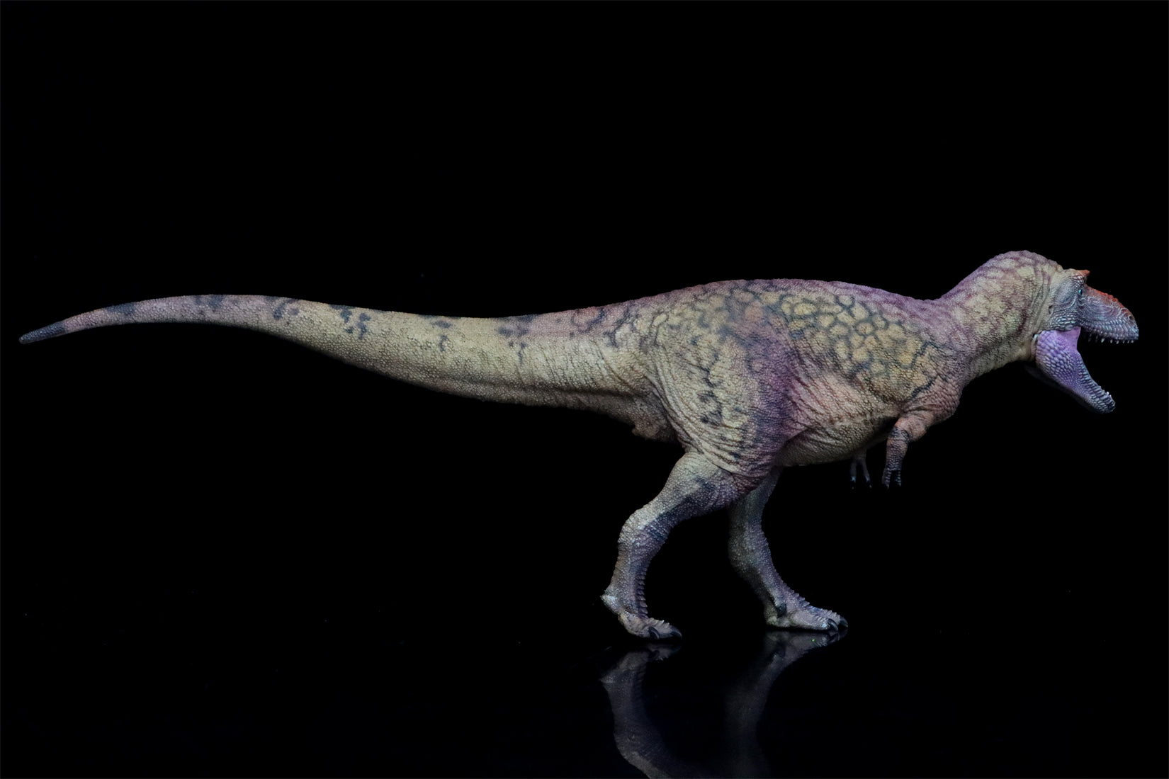 HAOLONGGOOD 1:35 Daspletosaurus Model