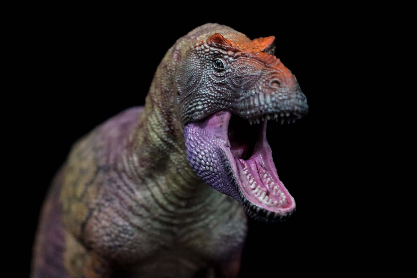 HAOLONGGOOD 1:35 Daspletosaurus Model