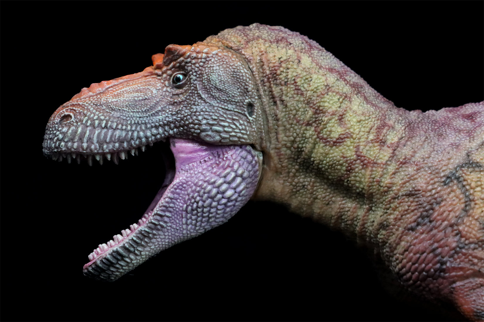 HAOLONGGOOD 1:35 Daspletosaurus Model