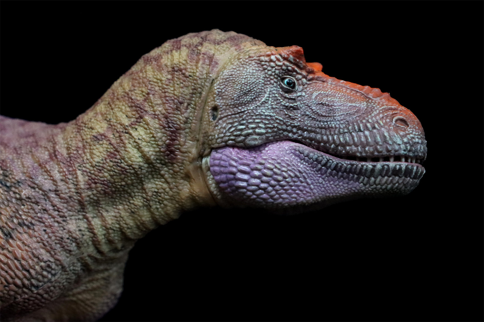 HAOLONGGOOD 1:35 Daspletosaurus Model