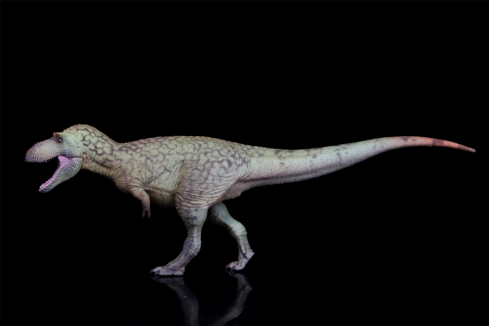 HAOLONGGOOD 1:35 Daspletosaurus Model