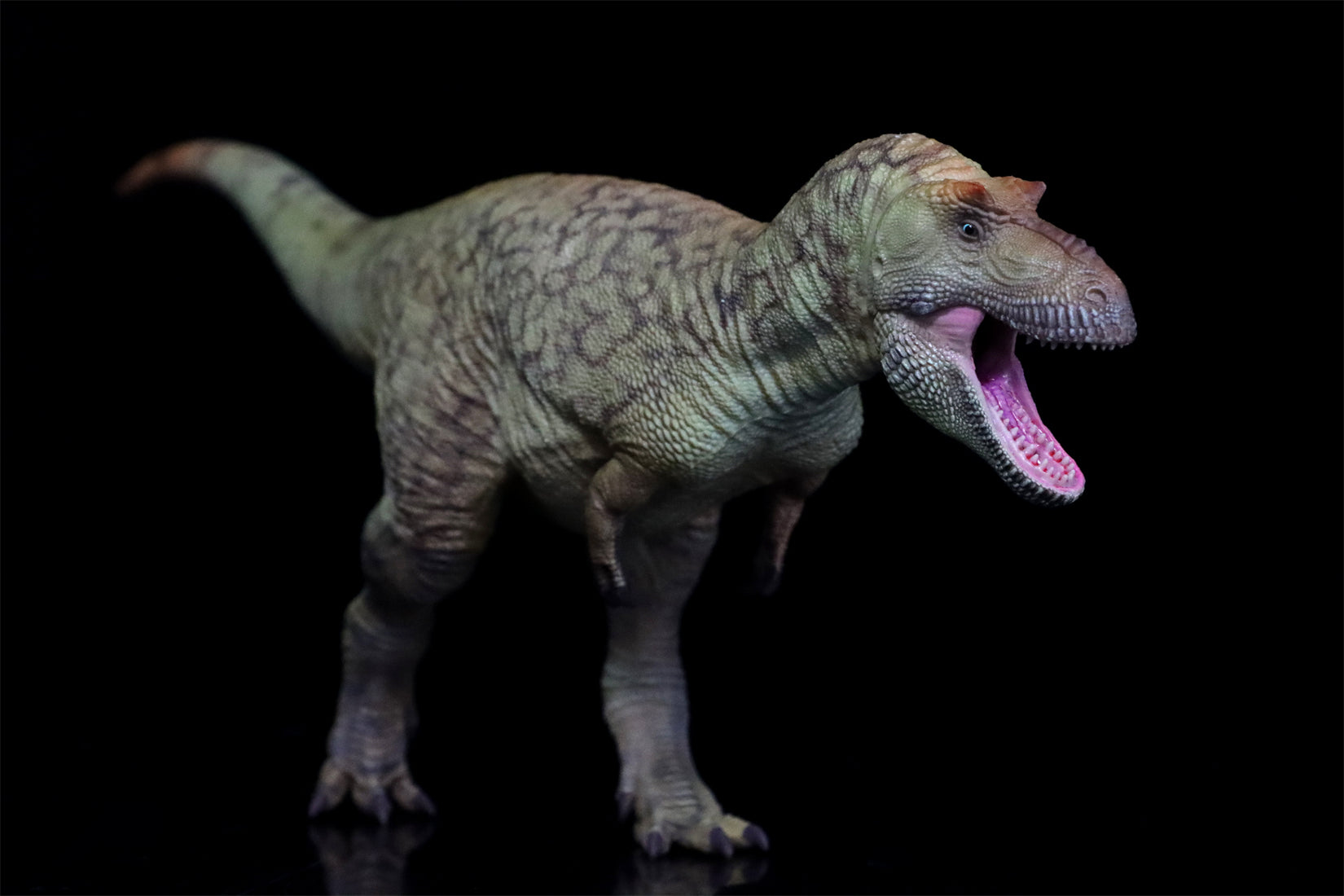 HAOLONGGOOD 1:35 Daspletosaurus Model