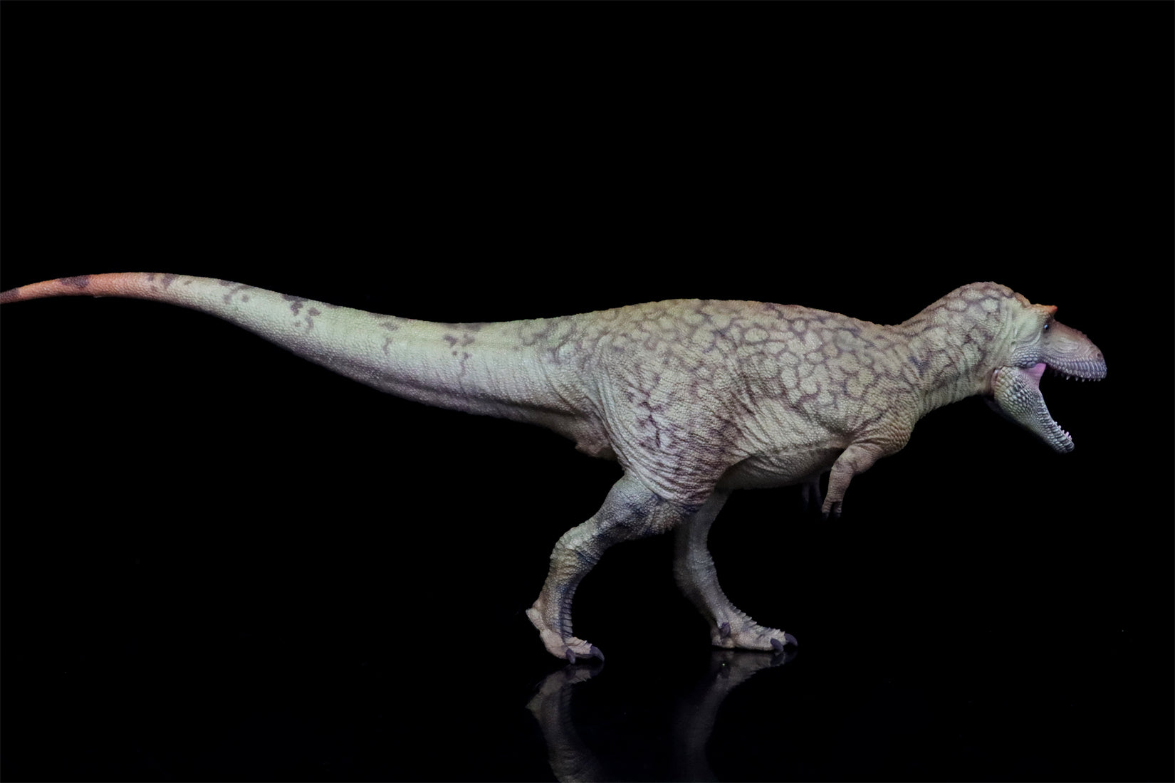 HAOLONGGOOD 1:35 Daspletosaurus Model