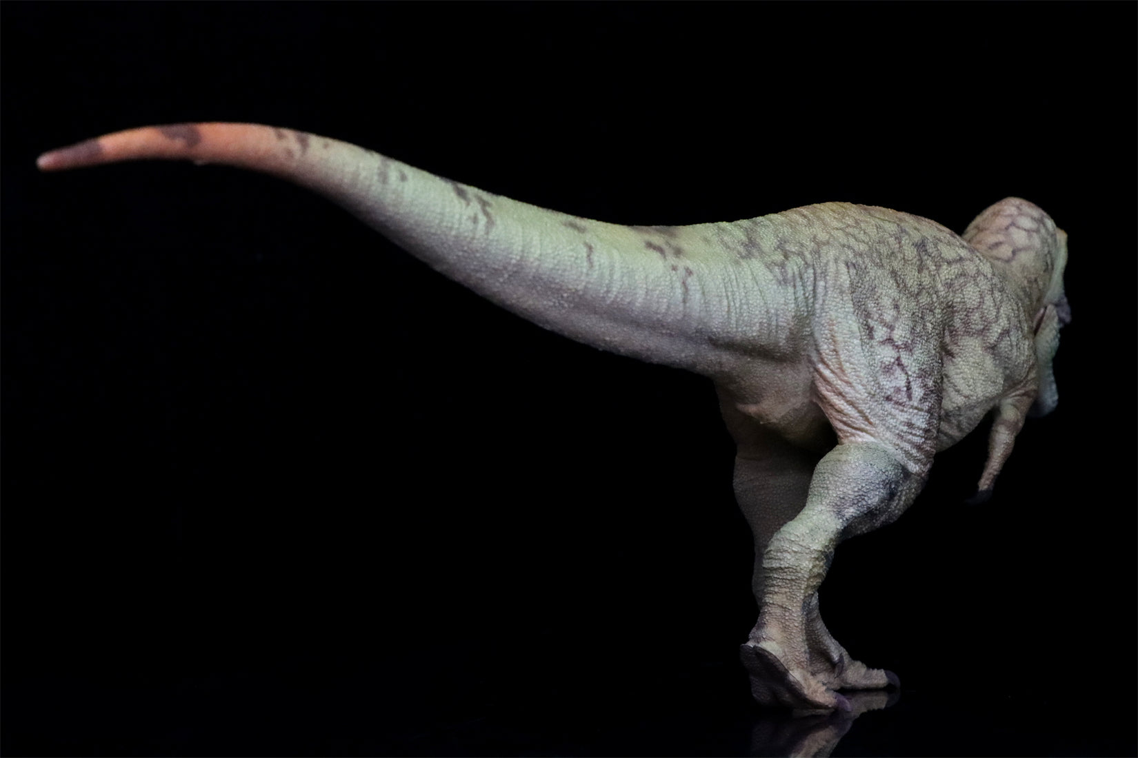 HAOLONGGOOD 1:35 Daspletosaurus Model