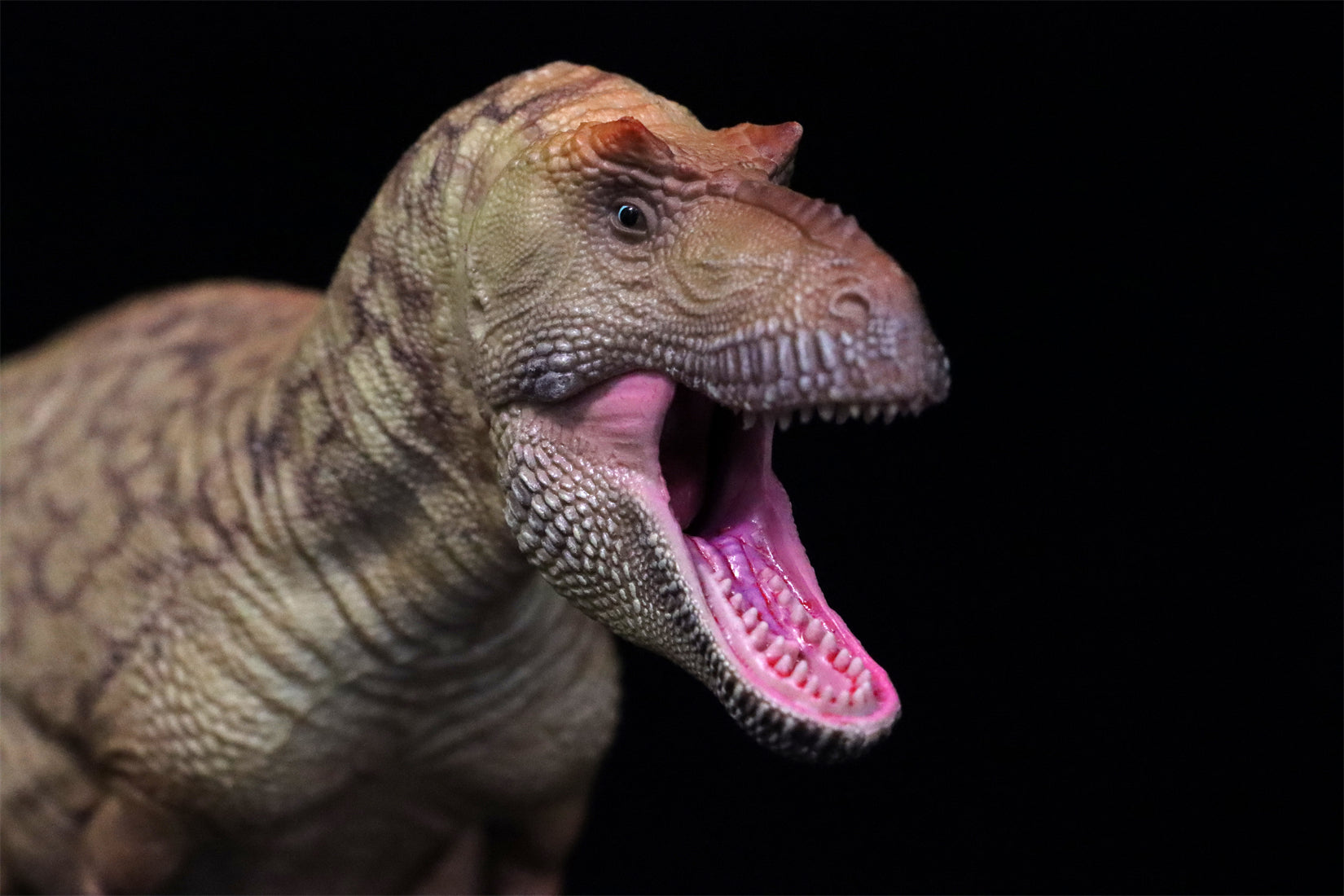 HAOLONGGOOD 1:35 Daspletosaurus Model