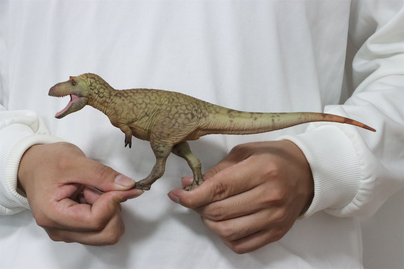 HAOLONGGOOD 1:35 Daspletosaurus Model