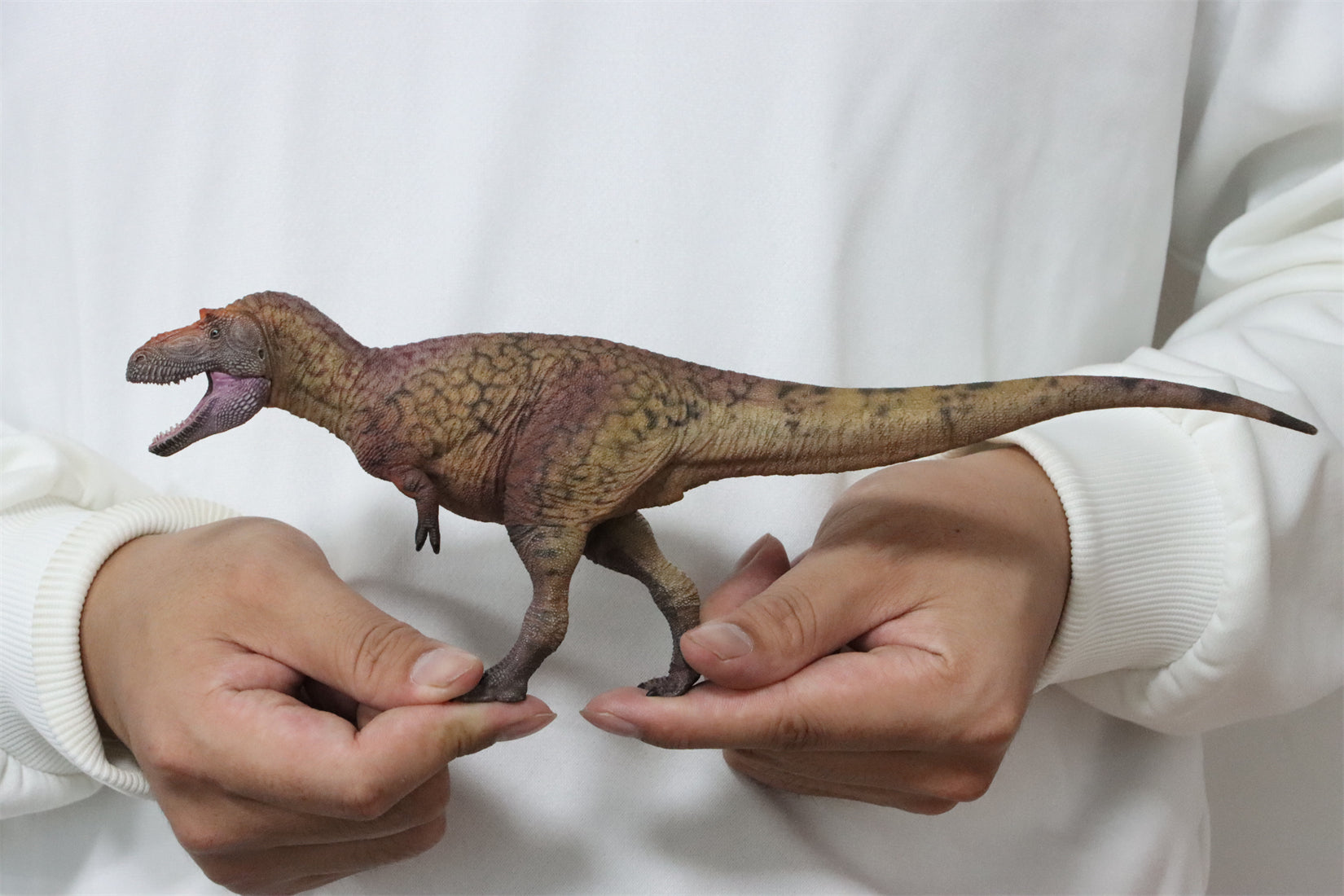 HAOLONGGOOD 1:35 Daspletosaurus Model