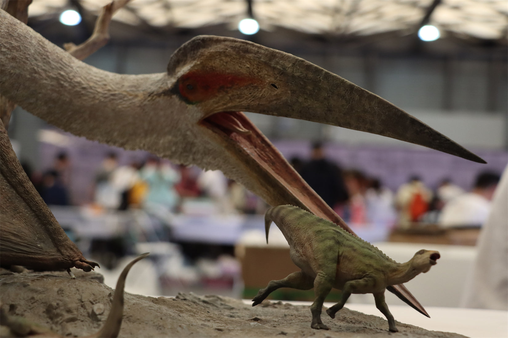 MuSee Studio 1/15 Scale Hatzegopteryx Hunting Microhadrosaurus Scene Statue