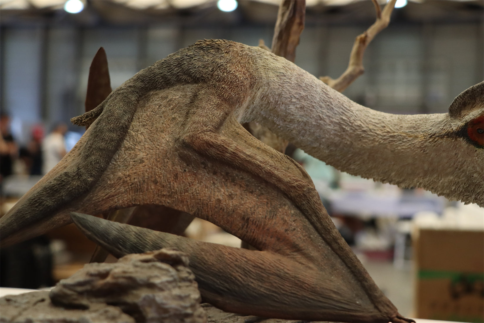 MuSee Studio 1/15 Scale Hatzegopteryx Hunting Microhadrosaurus Scene Statue