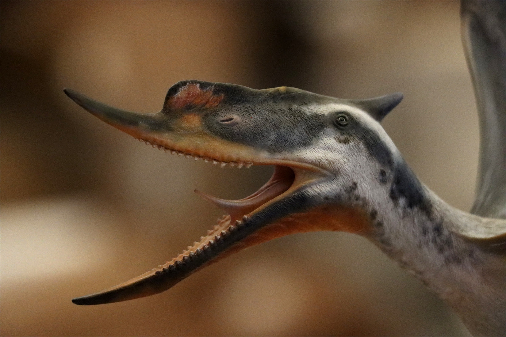 MuSee Studio 1/6 Scale Dsungaripterus Scene Statue