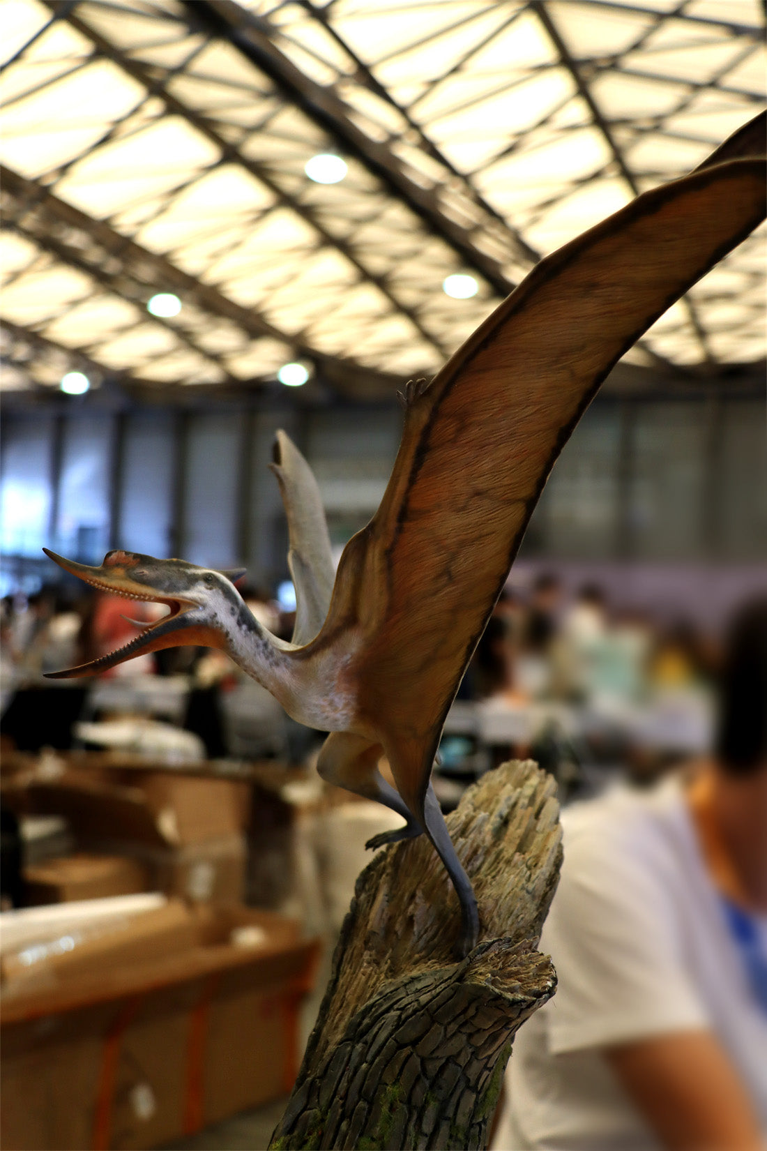 MuSee Studio 1/6 Scale Dsungaripterus Scene Statue