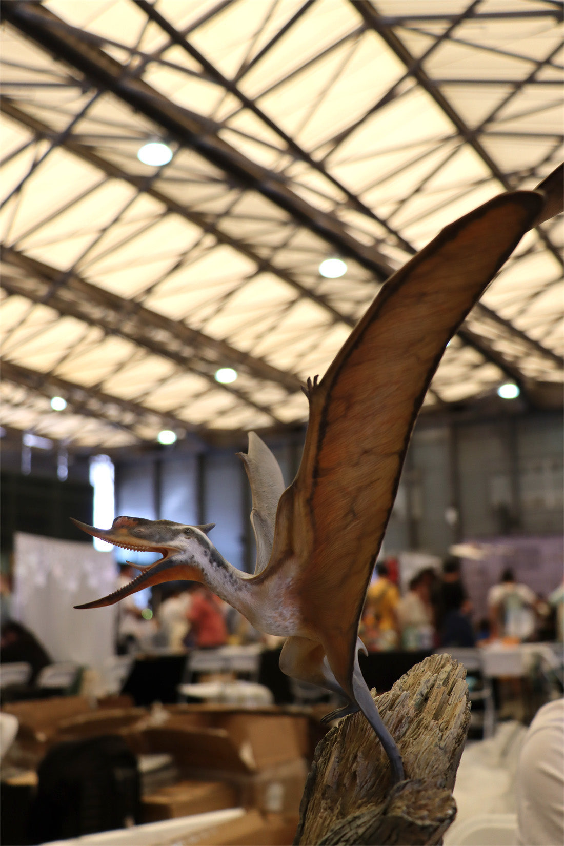 MuSee Studio 1/6 Scale Dsungaripterus Scene Statue