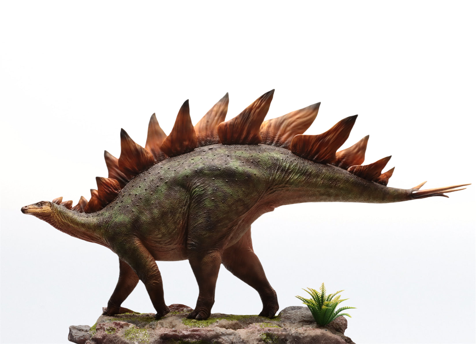 HAOLONGGOOD 1:20 Scale Stegosaurus Model