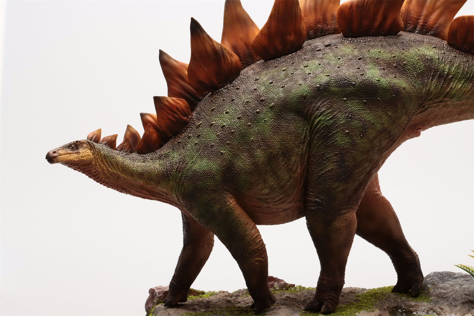 HAOLONGGOOD 1:20 Scale Stegosaurus Model
