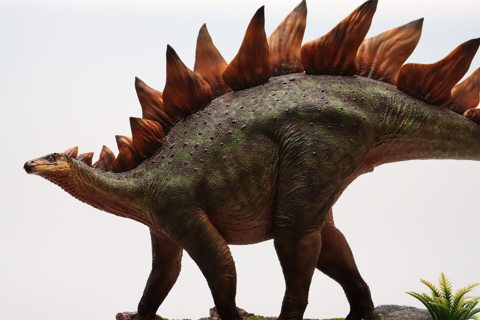 HAOLONGGOOD 1:20 Scale Stegosaurus Model