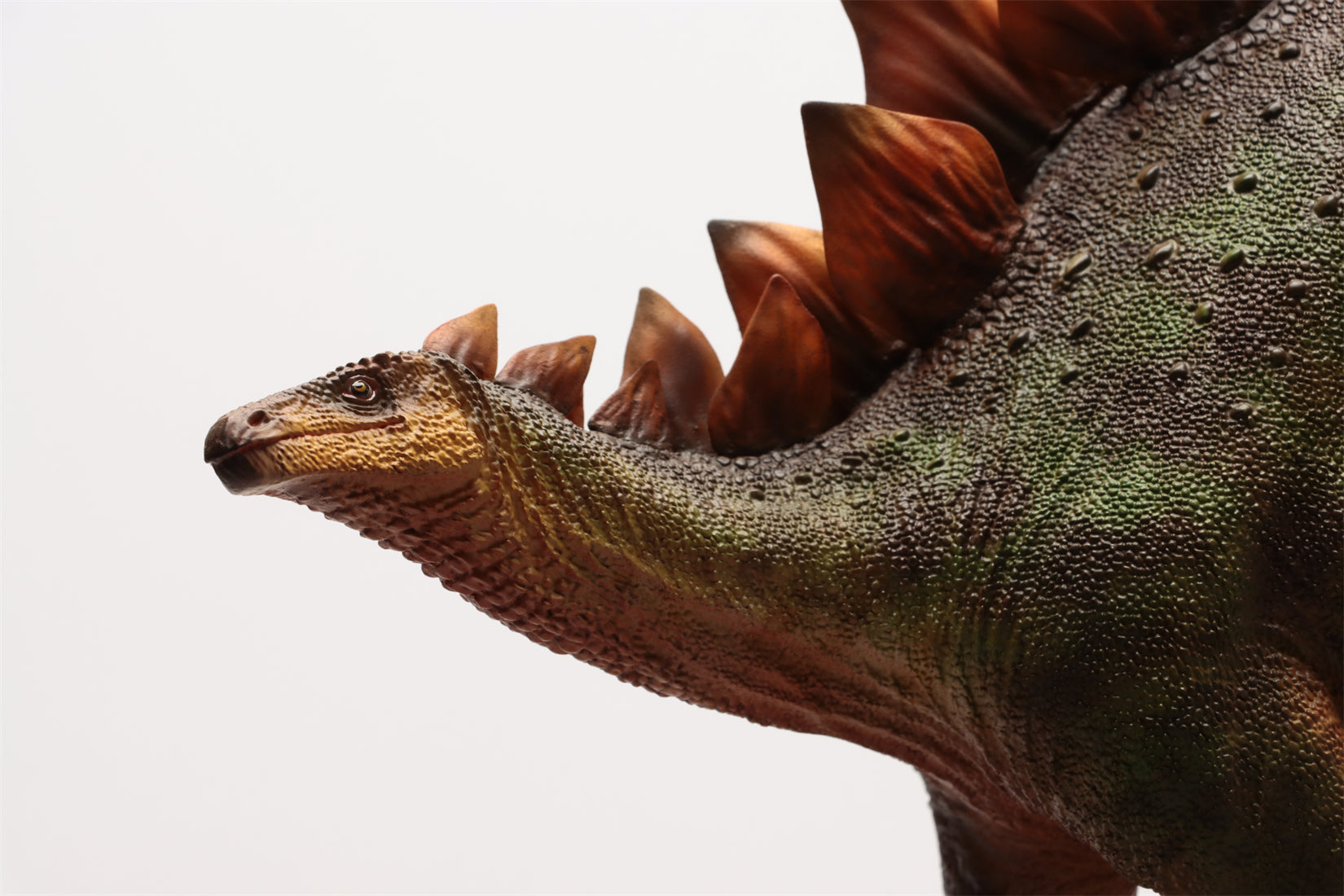 HAOLONGGOOD 1:20 Scale Stegosaurus Model