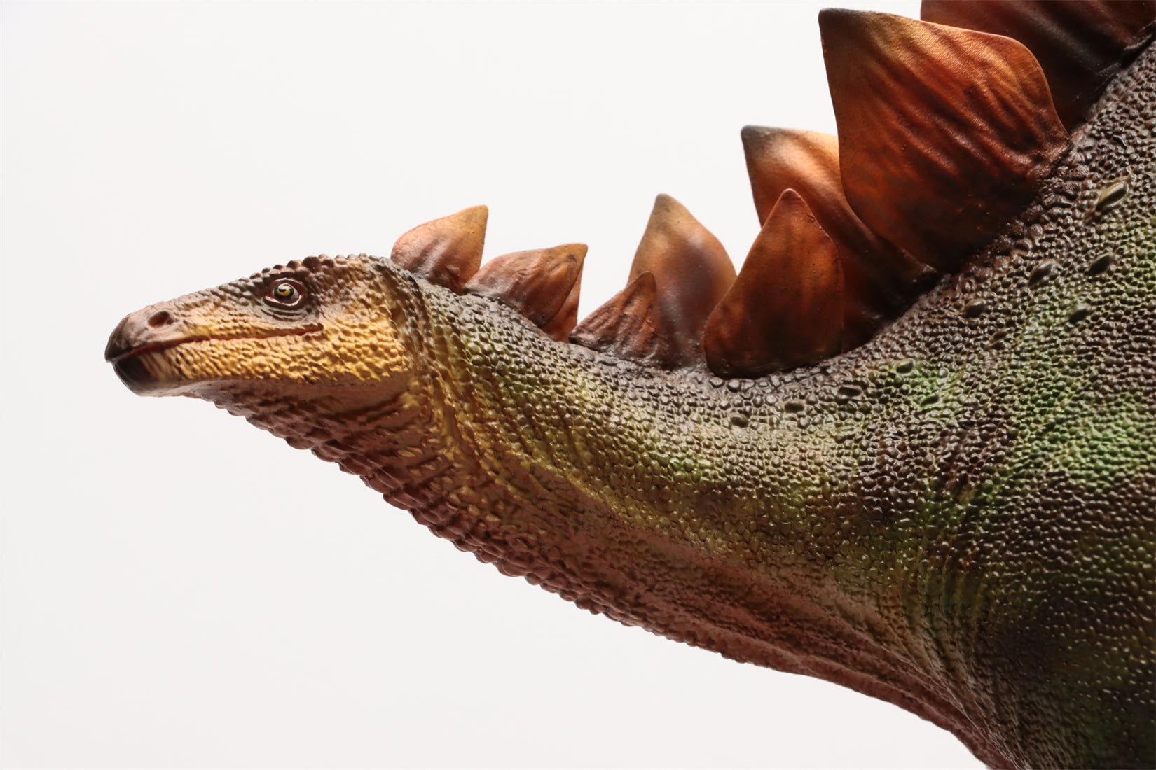 HAOLONGGOOD 1:20 Scale Stegosaurus Model