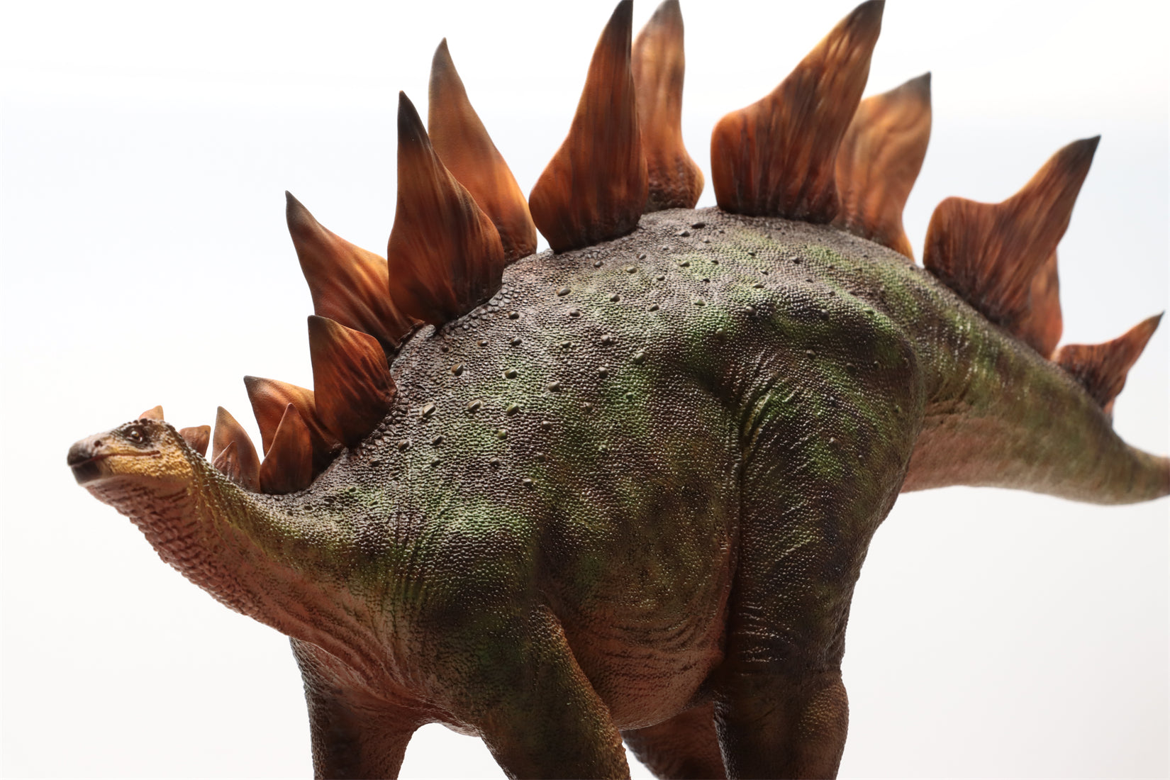 HAOLONGGOOD 1:20 Scale Stegosaurus Model