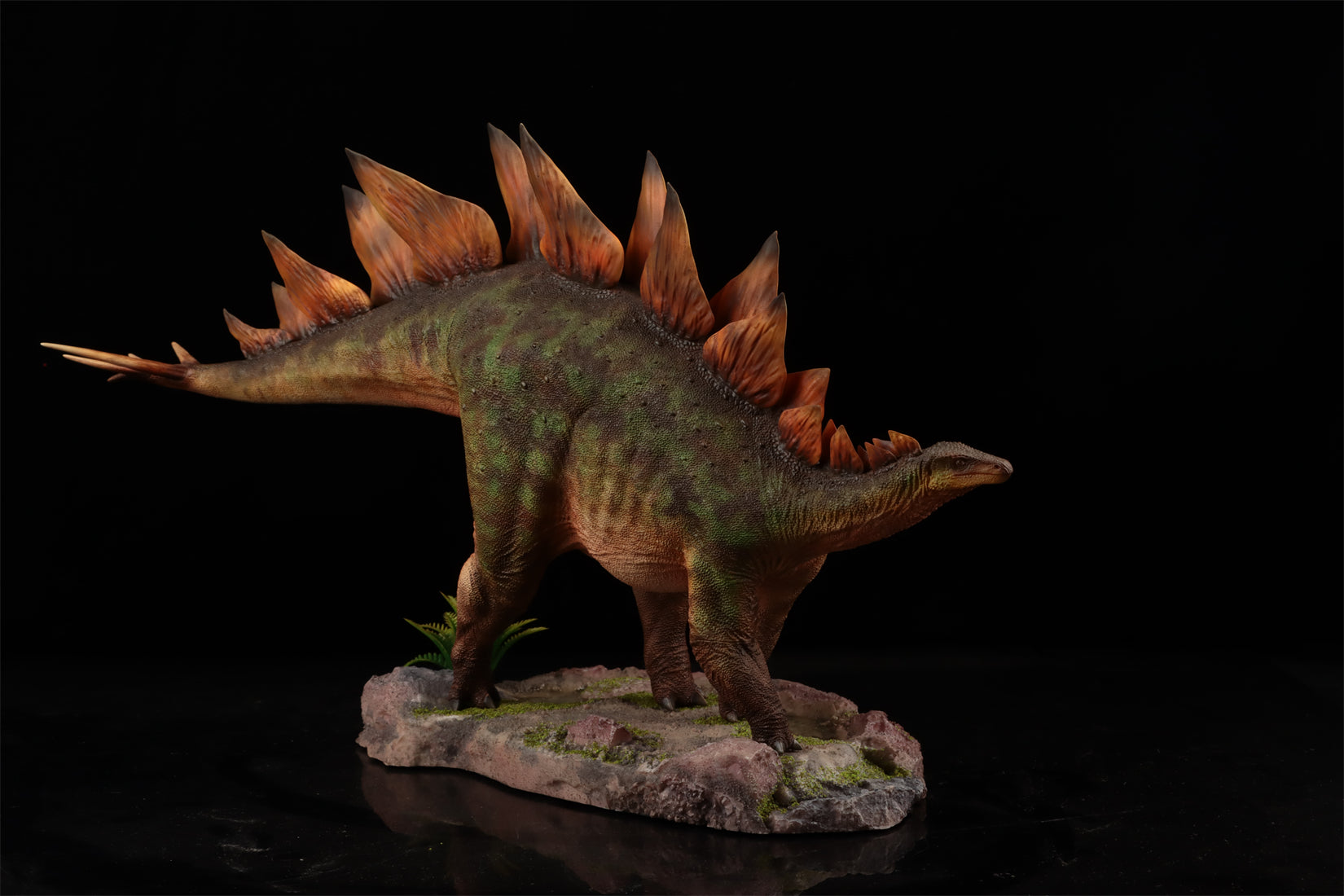 HAOLONGGOOD 1:20 Scale Stegosaurus Model