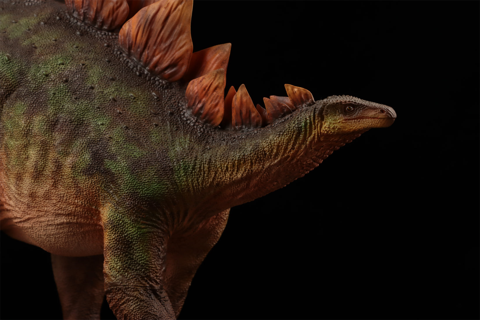 HAOLONGGOOD 1:20 Scale Stegosaurus Model