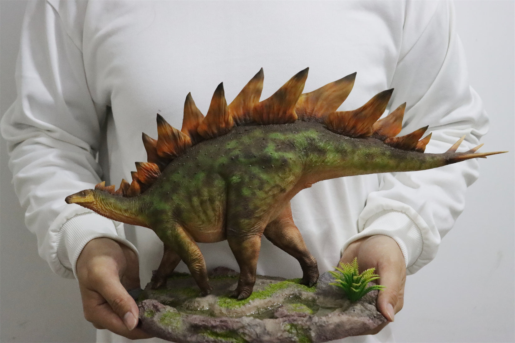 HAOLONGGOOD 1:20 Scale Stegosaurus Model