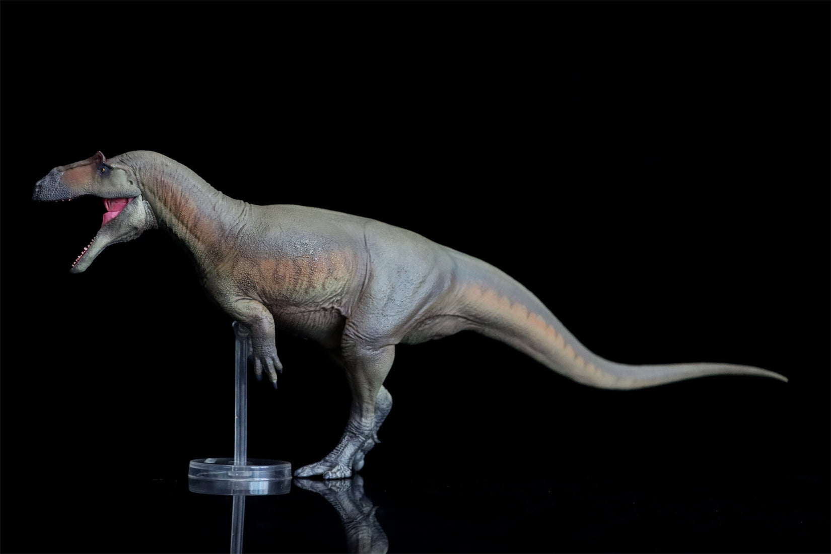 PNSO Saurophaganax Donald Model