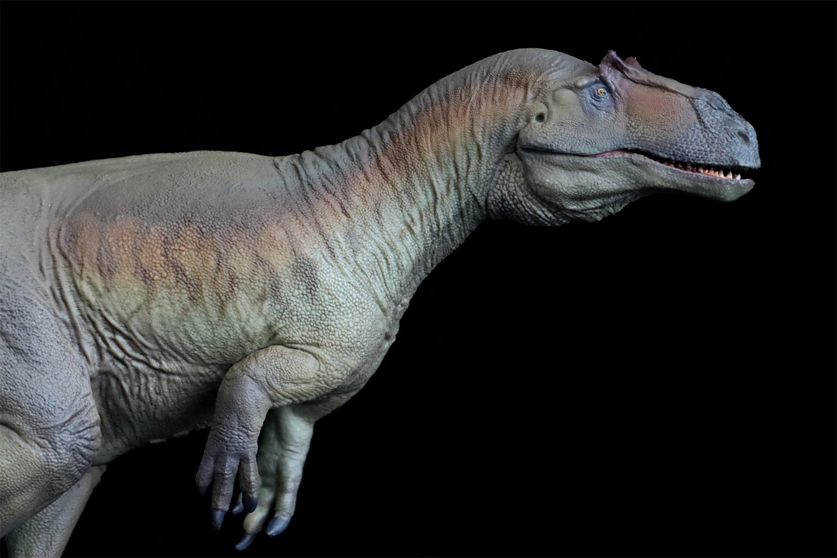 PNSO Saurophaganax Donald Model