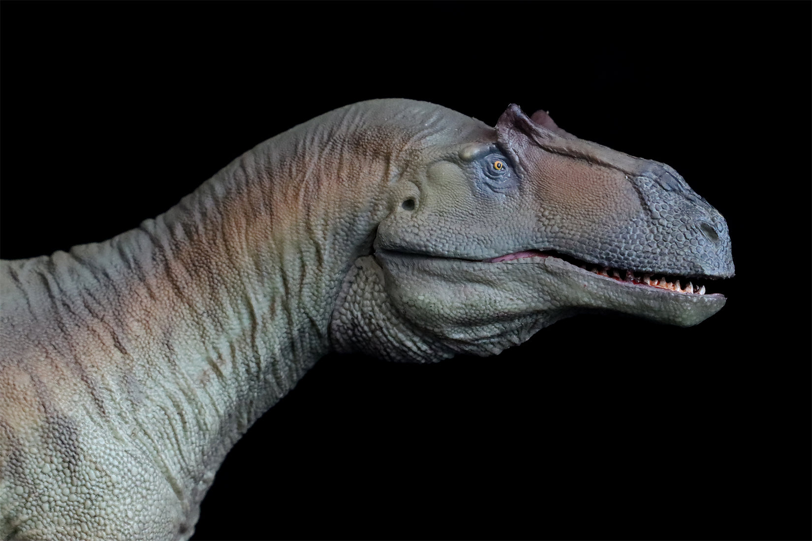 PNSO Saurophaganax Donald Model