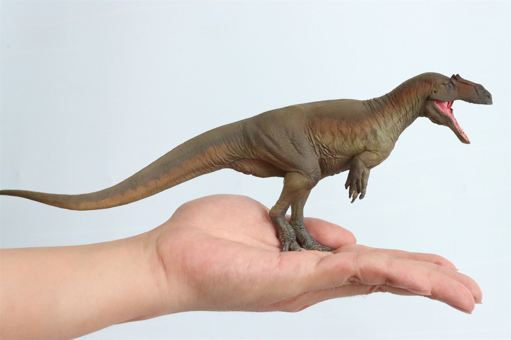 PNSO Saurophaganax Donald Model