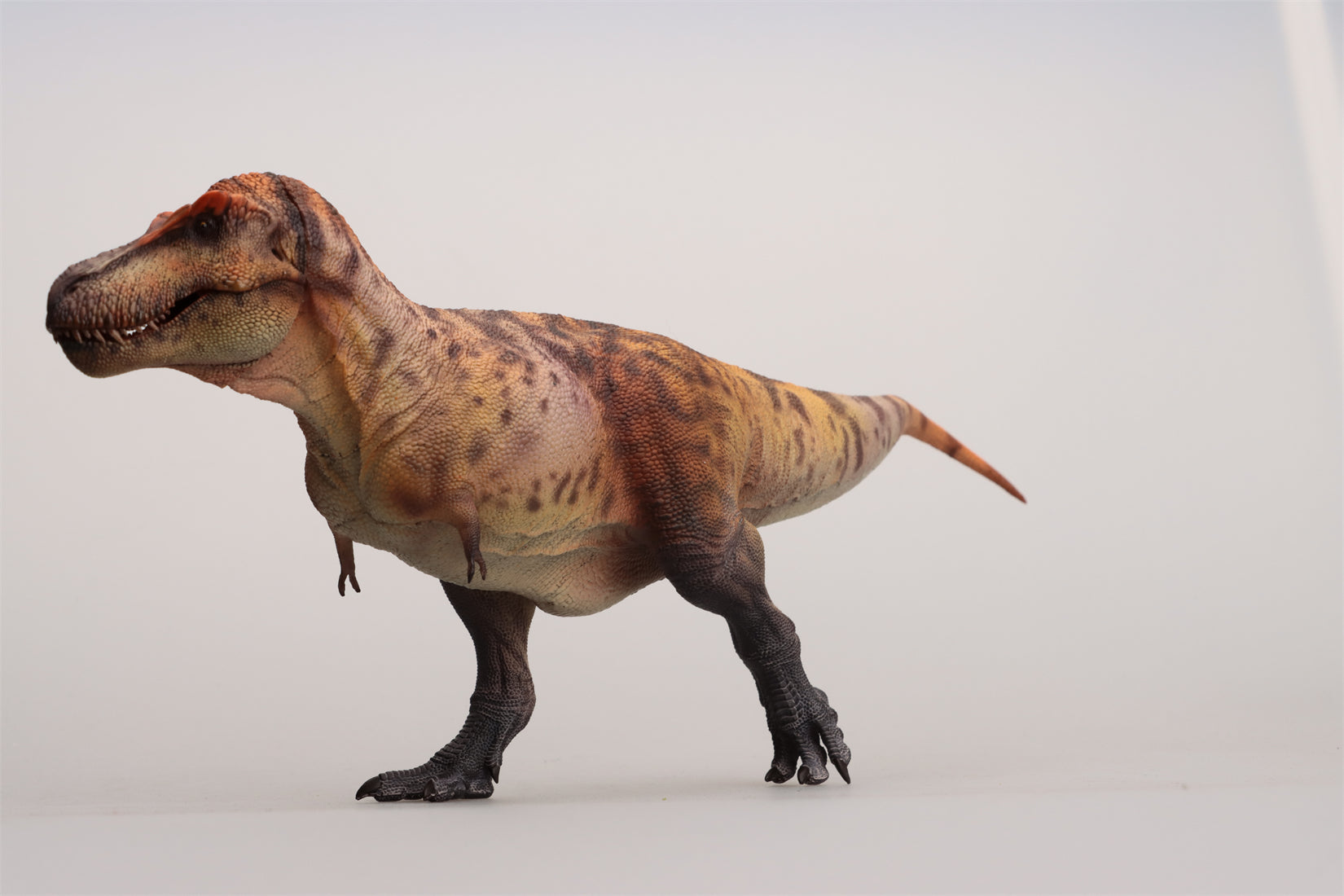 HAOLONGGOOD 1:35 Scale Tyrannosaurus Rex Model