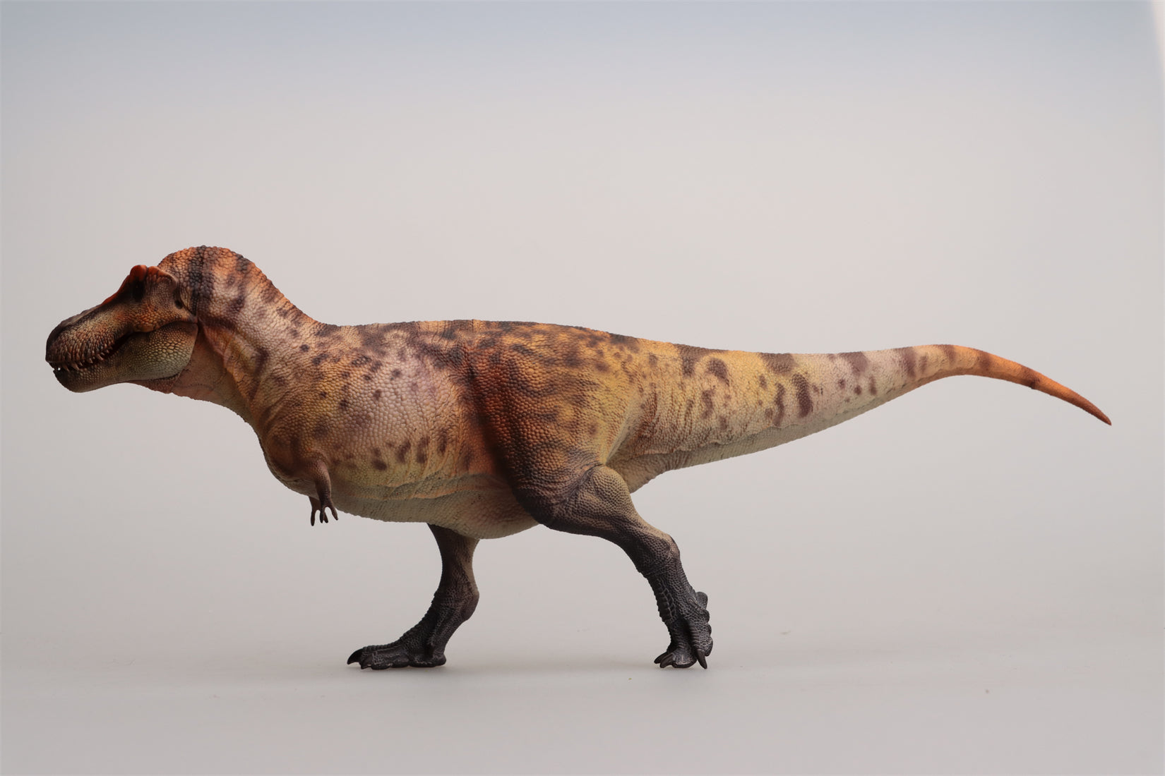 HAOLONGGOOD 1:35 Scale Tyrannosaurus Rex Model
