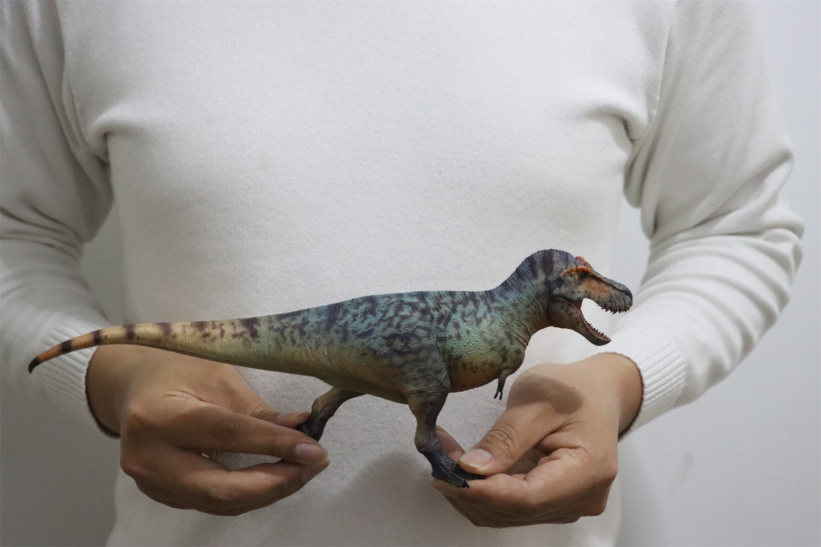 HAOLONGGOOD 1:35 Scale Tyrannosaurus Rex Model