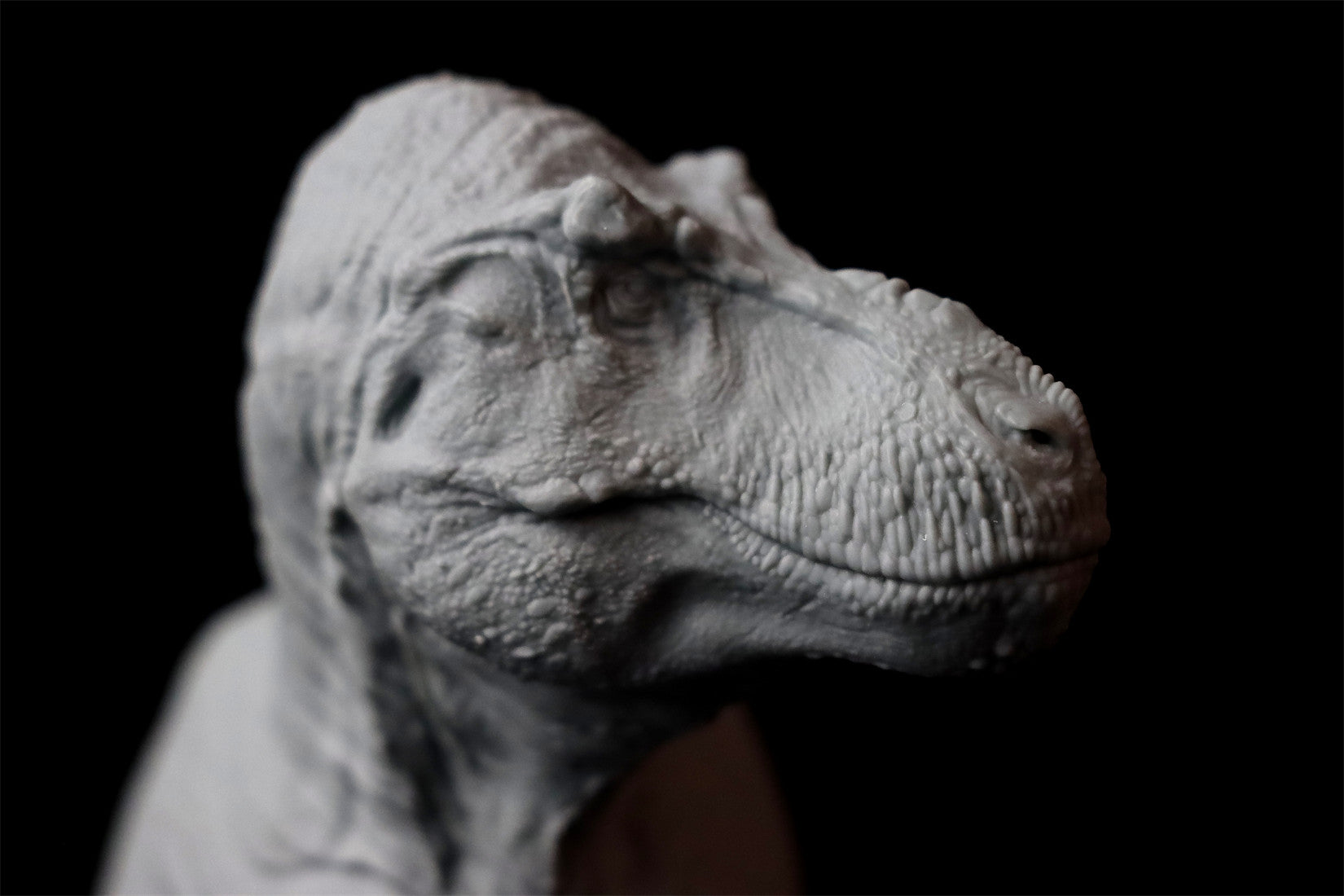 Sumeru Studio 1/35 Scale Tyrannosaurus Rex "Reg" Model