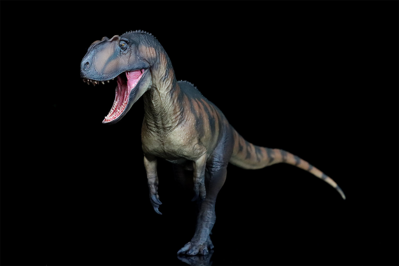 PNSO Yangchuanosaurus Magnus Dapeng Model