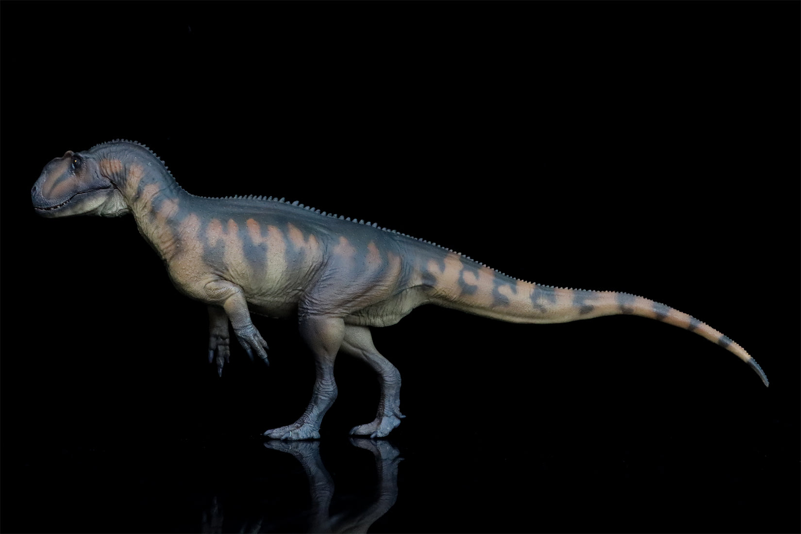 PNSO Yangchuanosaurus Magnus Dapeng Model
